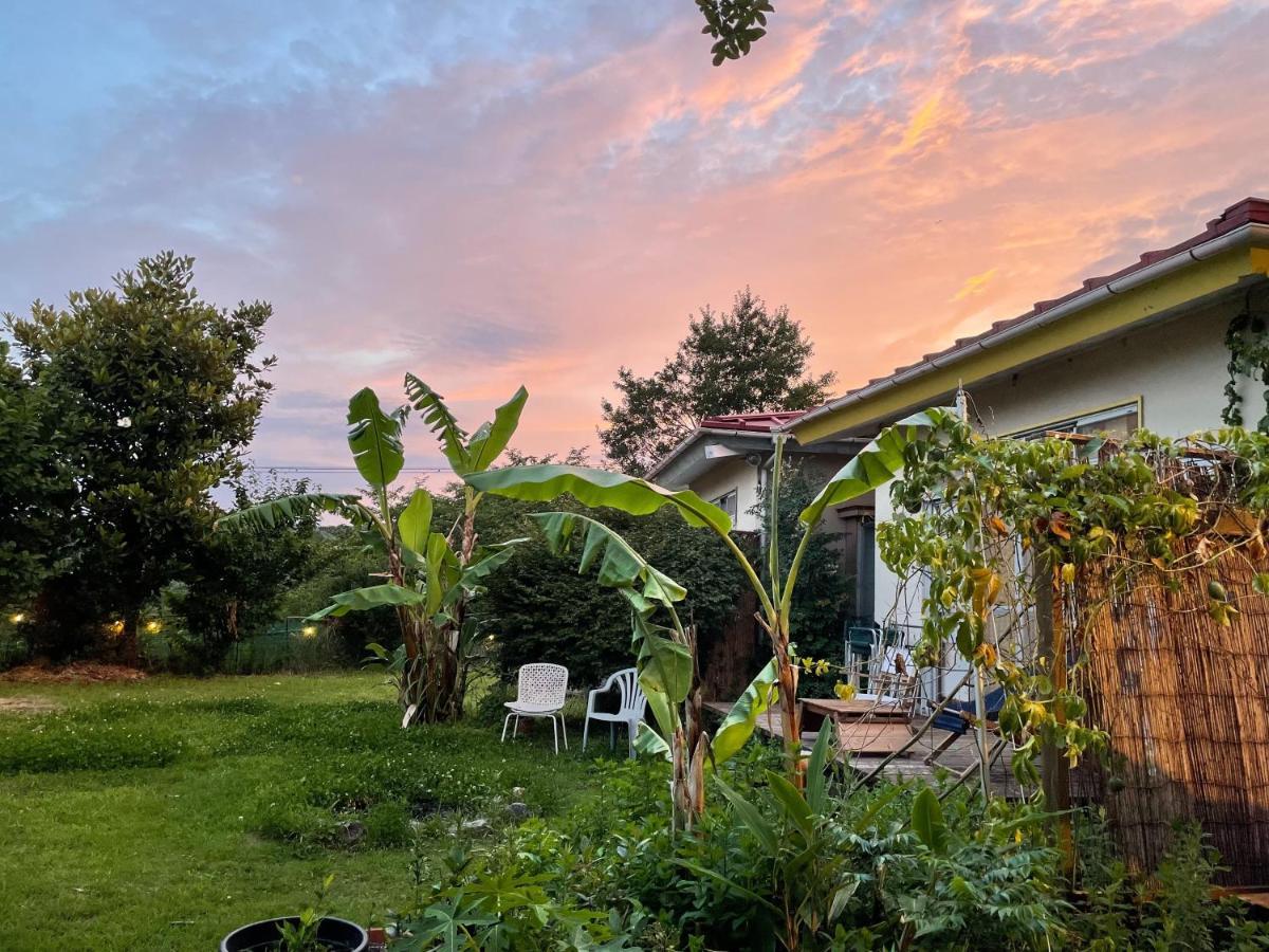 Guesthouse Papaya 下田 外观 照片