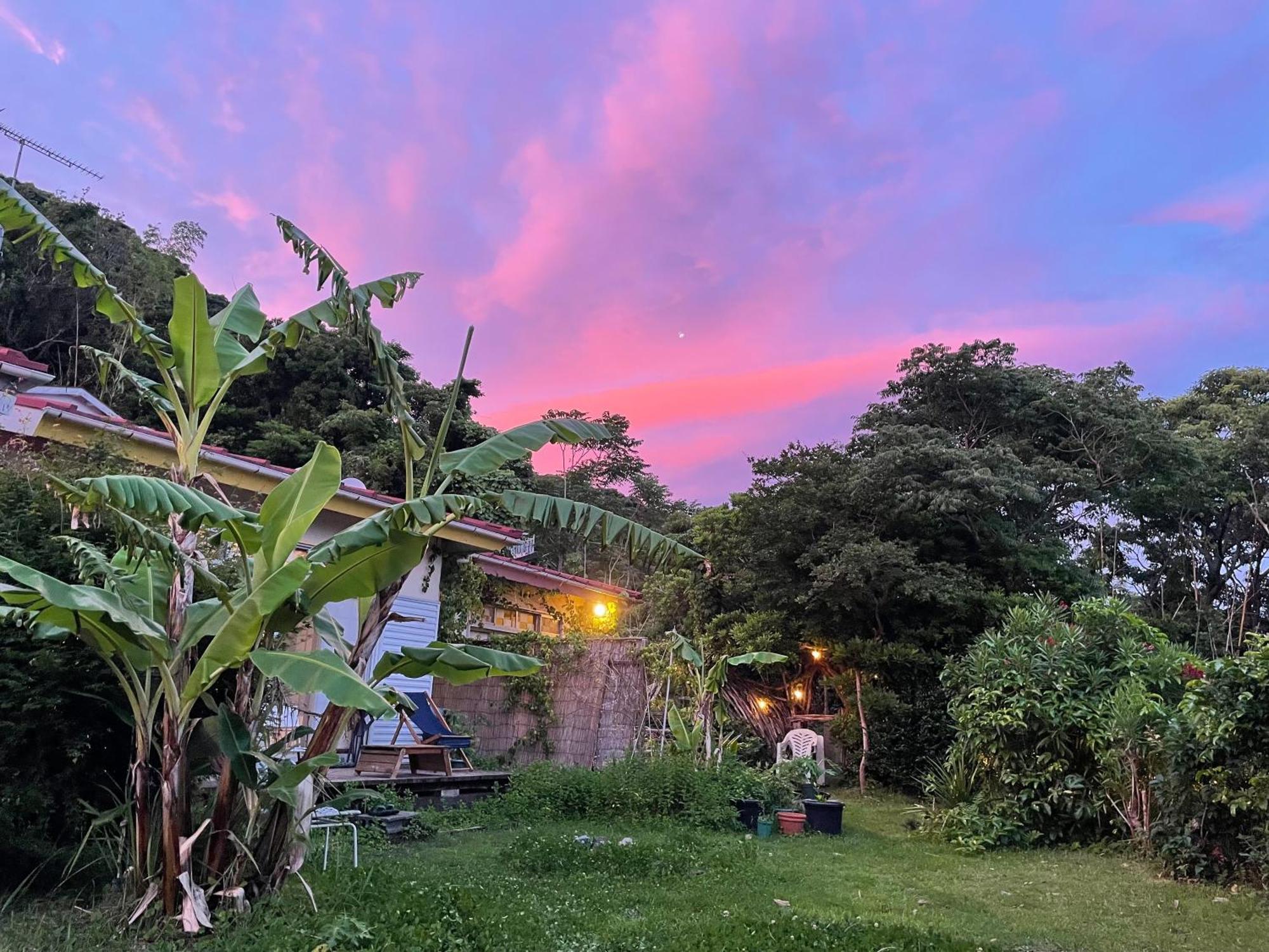 Guesthouse Papaya 下田 外观 照片